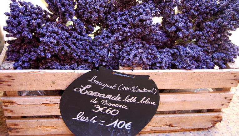 Bpti-provence-biking-3